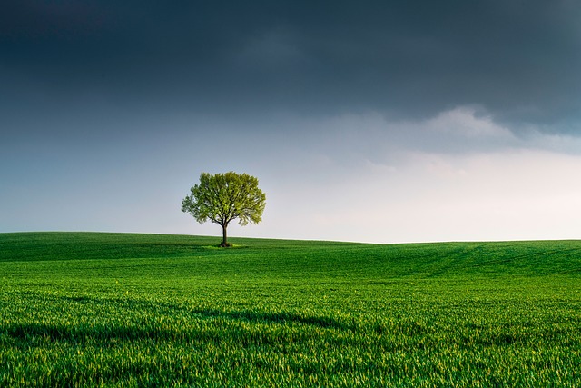 Toscana, Linee guida VIA