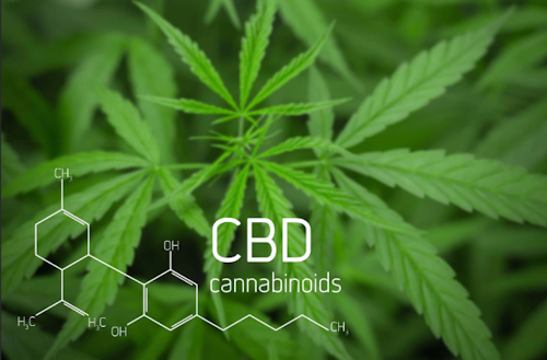 Il Cannabidiolo (CBD) da Cannabis Sativa: di che cosa si tratta?