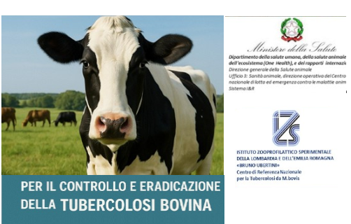 Tubercolosi bovina, il Ministero della Salute pubblica il manuale operativo
