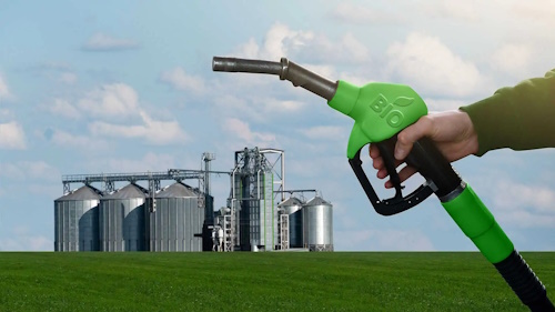 Biocarburanti e biogas, si allunga la lista delle materie prime utilizzabili