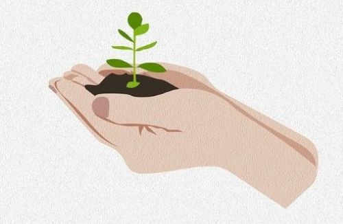 In Gazzetta la prima direttiva UE sul monitoraggio del suolo