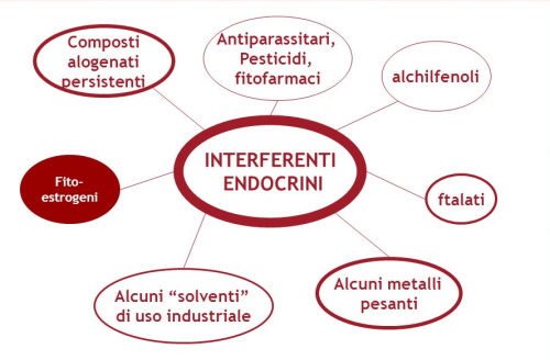 Le nuove classi di pericolo del regolamento (CE) n. 1272/2008  
Gli interferenti endocrini (ED)