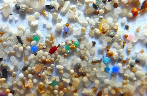 Le Microplastiche: origine, impatto e strategie di mitigazione