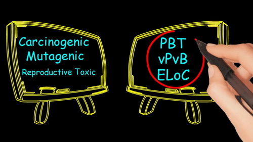 Le nuove classi di pericolo del regolamento (CE) n. 1272/2008 – Persistenti, Bioaccumulabili e Tossiche (PBT), Molto Persistenti e Molto Bioaccumulabile (vPvB), Persistenti, Mobili e Tossiche (PMT) e Molto Persistenti e Molto Mobili (vPvM)