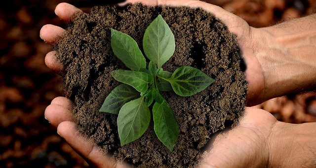 Fertilizzanti, aggiornata la disciplina nazionale
