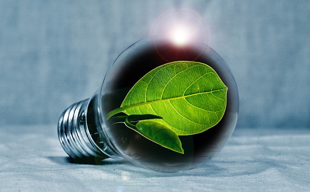Transizione ecologica, in Gazzetta il Piano nazionale