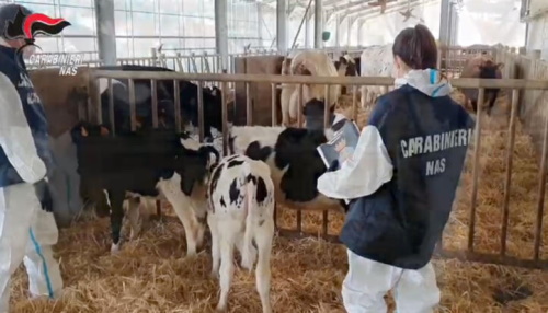 Controlli ufficiali, frequenze minime uniformi e benessere animale