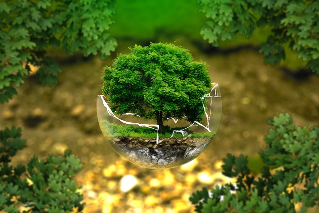Due diligence sostenibilità imprese, accordo Ue a tutela dell'ambiente