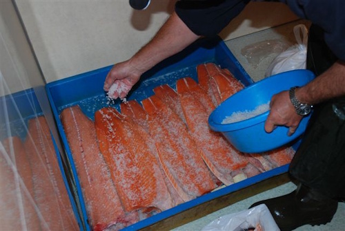 Il Tribunale UE annulla le nuove regole sulla trasformazione del salmone affumicato introdotte dal regolamento (UE) 2024/1141