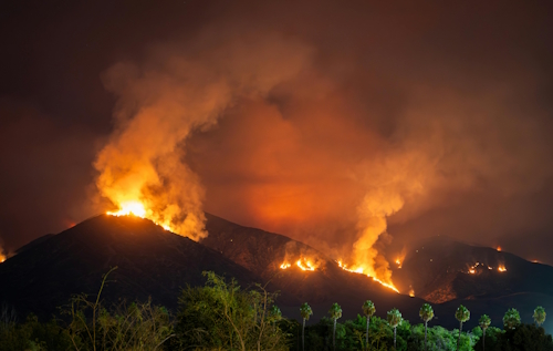 Incendi boschivi in calo nel 2024, report ISPRA