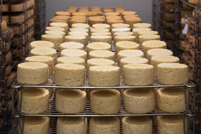 Dichiarazioni obbligatorie nel settore del latte e dei prodotti lattiero-caseari
