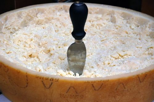 Consiglio di Stato: lisozima resta additivo nel Grana Padano