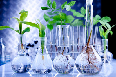Biologico, ICQRF di Catania è il laboratorio nazionale di riferimento