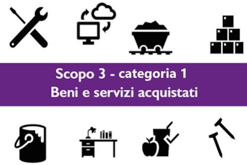 Scopo 3 categoria 1 – beni e servizi acquistati