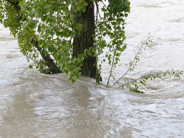 Emergenza alluvione Emilia-Romagna, deroghe al Codice ambientale
