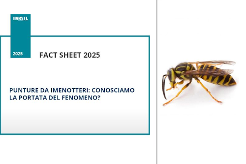 Punture da imenotteri, fact Sheet INAIL