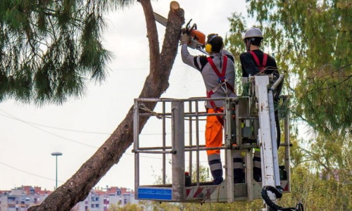 L’obbligo di vigilanza del datore di lavoro.
I sempre più stringenti obblighi sanciti dalla Corte di Cassazione