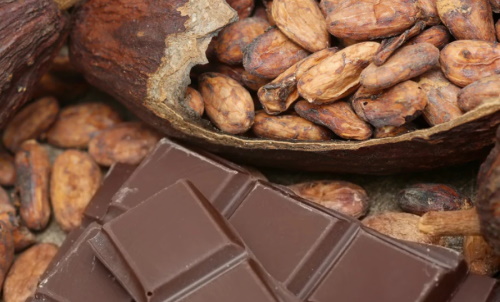 Salmonella nel cacao: criticità ed analisi di laboratorio