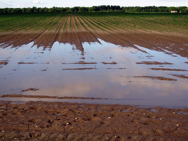 Emilia Romagna, disposizioni in merito alla gestione dei materiali e dei rifiuti e approvvigionamento idrico,