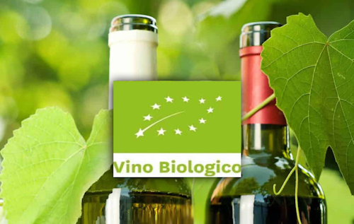 Vino? Meglio se Bio e se dealcolizzato ancor di più