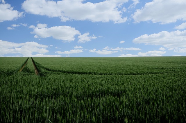 Marche, nuova modulistica VIA