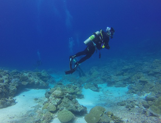 Protezione ambiente marino, guida per la sicurezza dei lavoratori in immersione