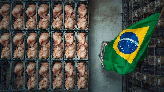 Import pollame, UE modifica le regole per il Brasile