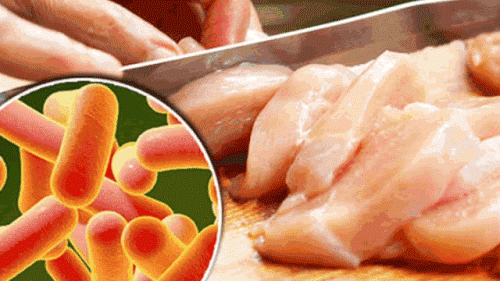 Ricerca e sierotipizzazione di salmonelle minori nella carne di pollame: contesto e criticità
