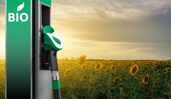 Piena adesione dell'Italia ad alleanza biocarburanti