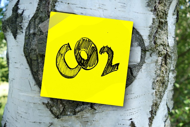 DL Infrastrutture, nasce il Comitato cattura e stoccaggio della CO2