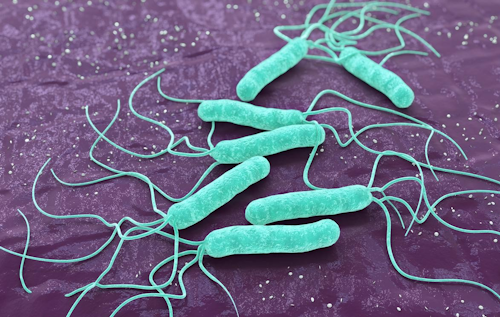 Modificato il Regolamento CE 2073/2005 per quanto riguarda la Listeria Monocytogenes