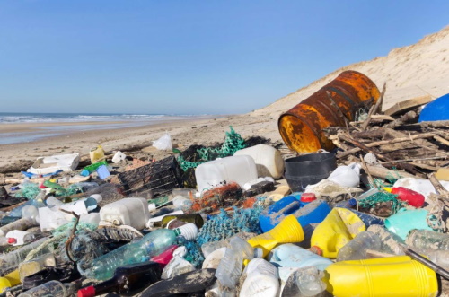 Raccolta dei rifiuti abbandonati su spiagge e rive