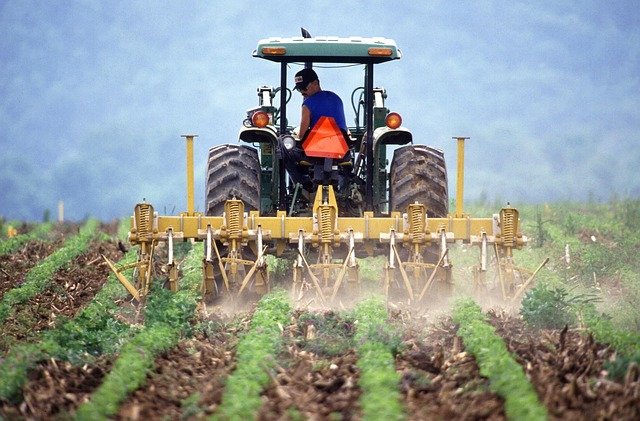 Glifosato, classificazione di pericolo immutata