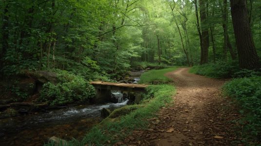 Biodiversità, nuove linee guida UNI per le imprese