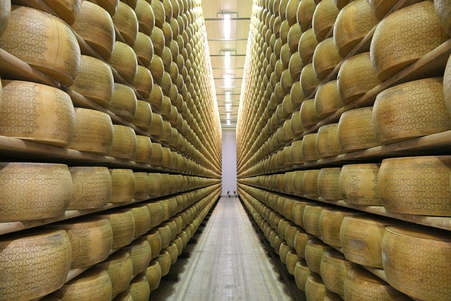Il lisozima del Grana Padano Doc è un conservante