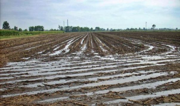 Utilizzazione agronomica dei reflui, Campania rafforza disciplina per le zone vulnerabili ai nitrati