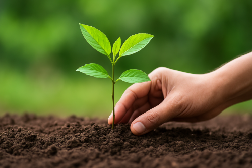 CO2, nasce il Registro nazionale dei crediti forestali