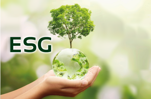 Come le funzioni HSE e la Governance aziendale saranno impattate dalle modifiche introdotte dai nuovi standard ESRS per la rendicontazione ESG