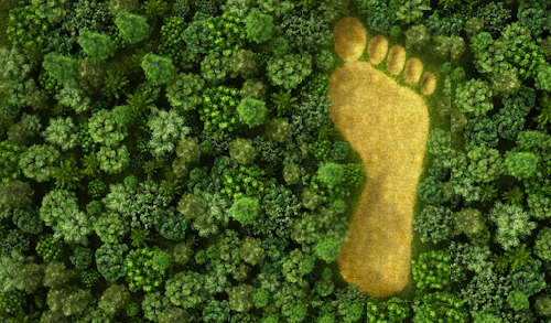 Impronta ecologica - Determinare l’impatto ambientale di organizzazione e di prodotto.